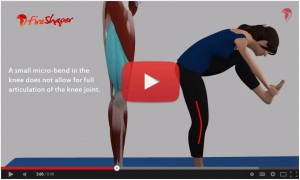 locking knee video snip2